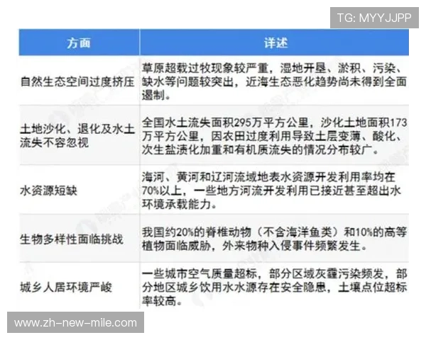 武汉乒乓球队运营分析:成功经验与面临挑战的深度探讨 武汉乒乓球队运营分析:成功经验与面临挑战的深度探讨